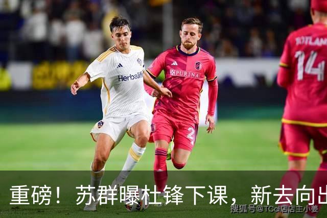 重磅！苏群曝杜锋下课，新去向出炉，球迷喊话杨鸣接手，能行吗？
